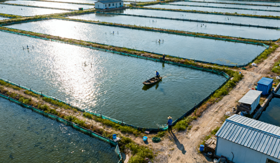 魚還能吃嗎？漁場專用水質(zhì)檢測儀助力漁業(yè)科學(xué)養(yǎng)殖的關(guān)鍵檢測設(shè)備
